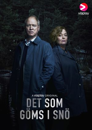 Det som göms i snö poster