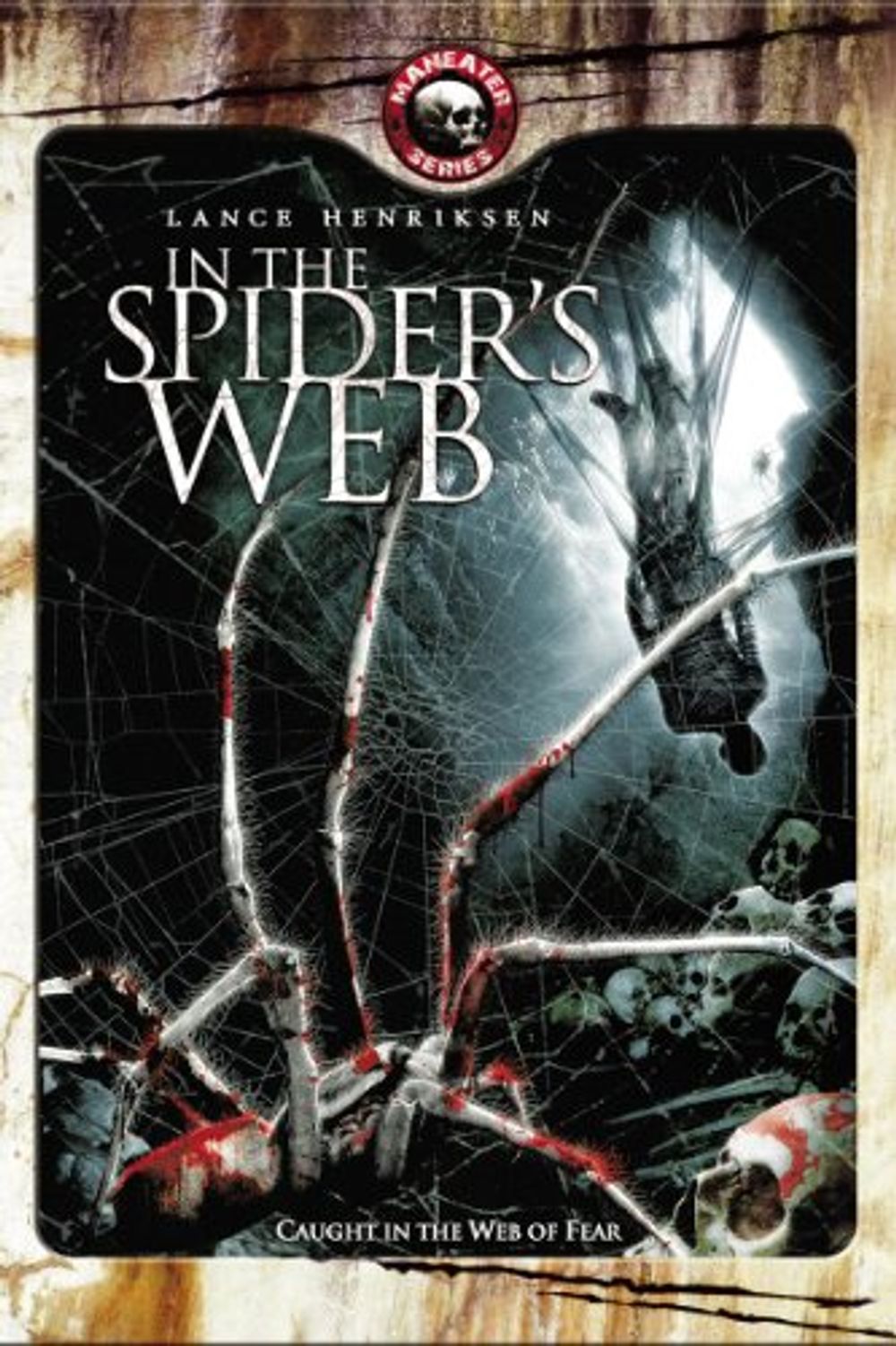 In the Spiders Web poster