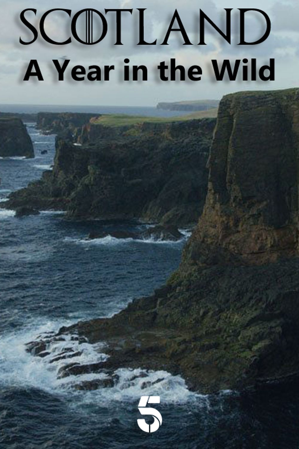 Scotland A Wild Year poster