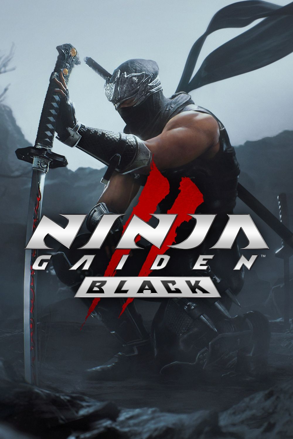 Ninja Gaiden 2 Black [DODI Repack] poster