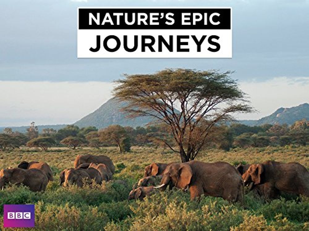 Nature's Epic Journeys poster