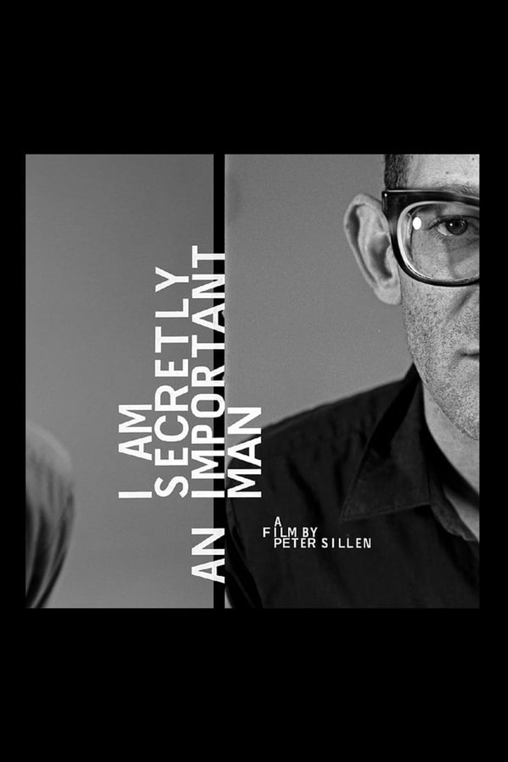 I Am a Secretly Important Man poster