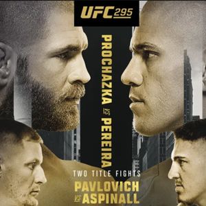 UFC 295 Procházka vs Pereira poster