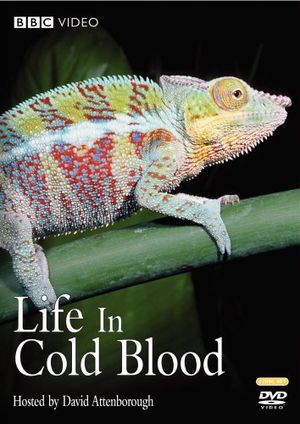 Life in Cold Blood poster