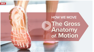 The Great Courses - How We Move & poster