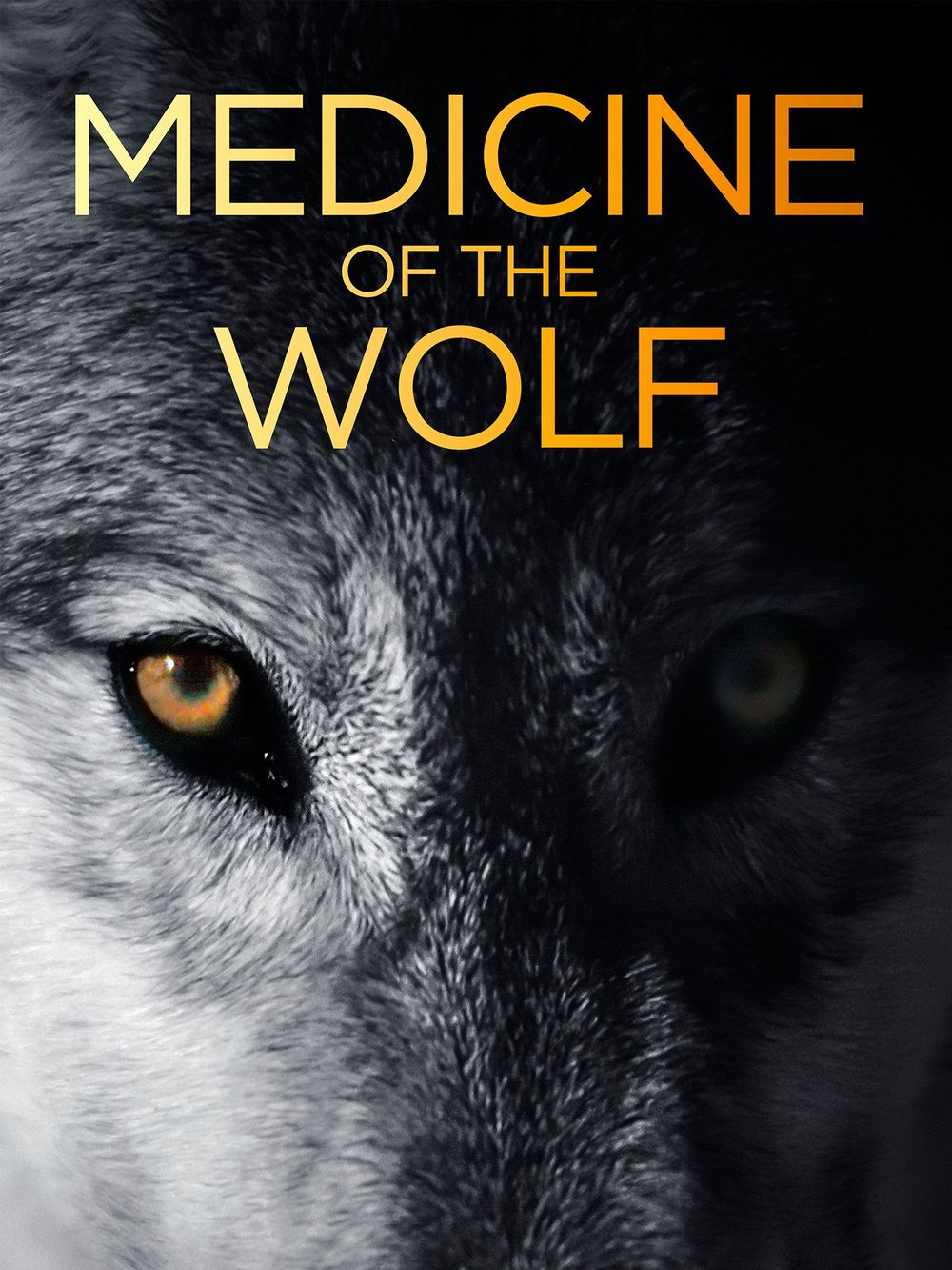 Medicine Of The Wolf poster