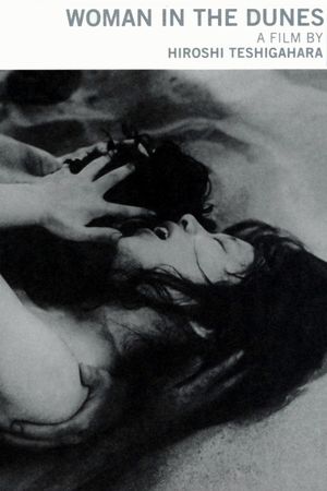 Woman In The Dunes poster