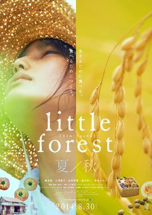 Little Forest Summer Autumn poster