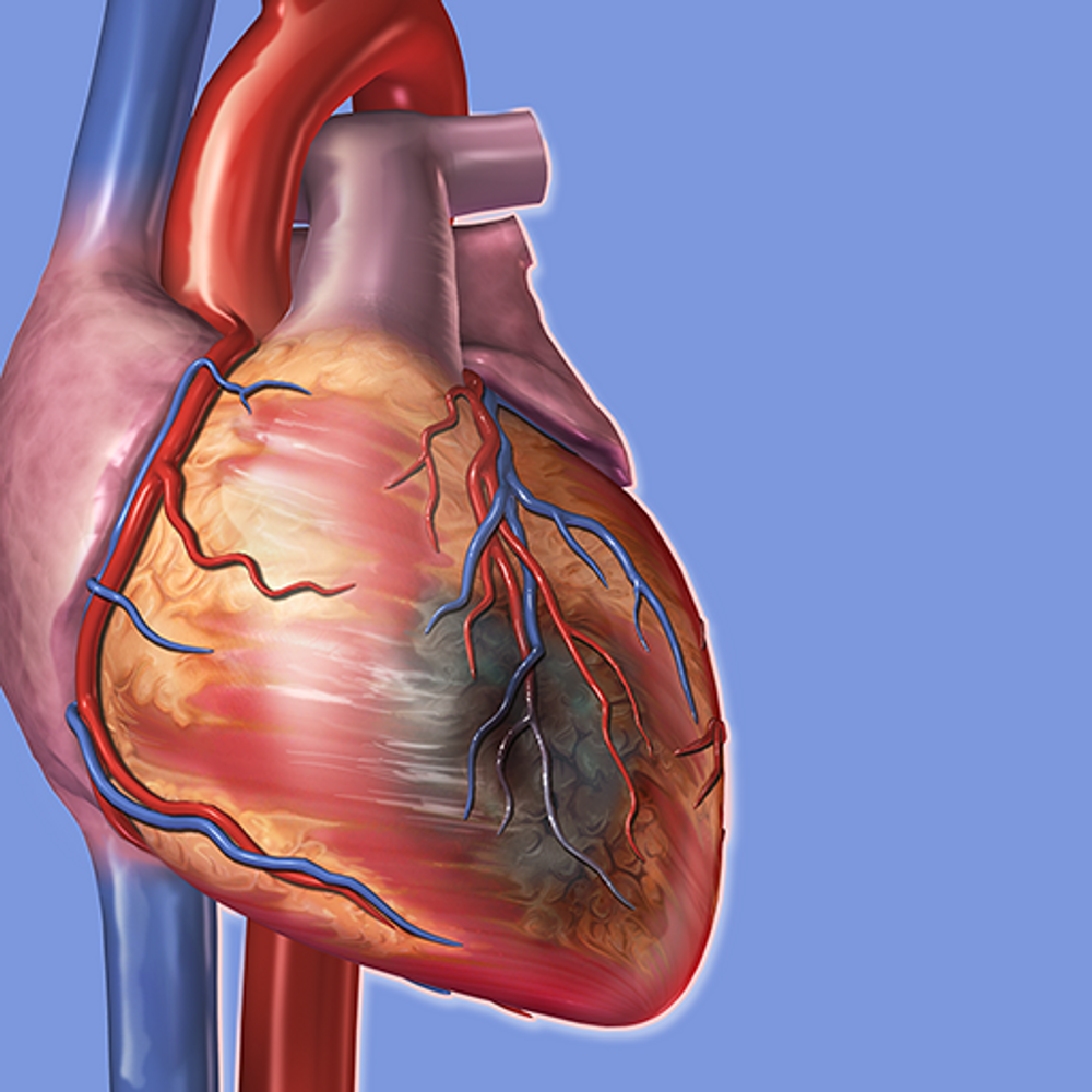 Physiology & Pathology v1.1.06 Mod Apk poster