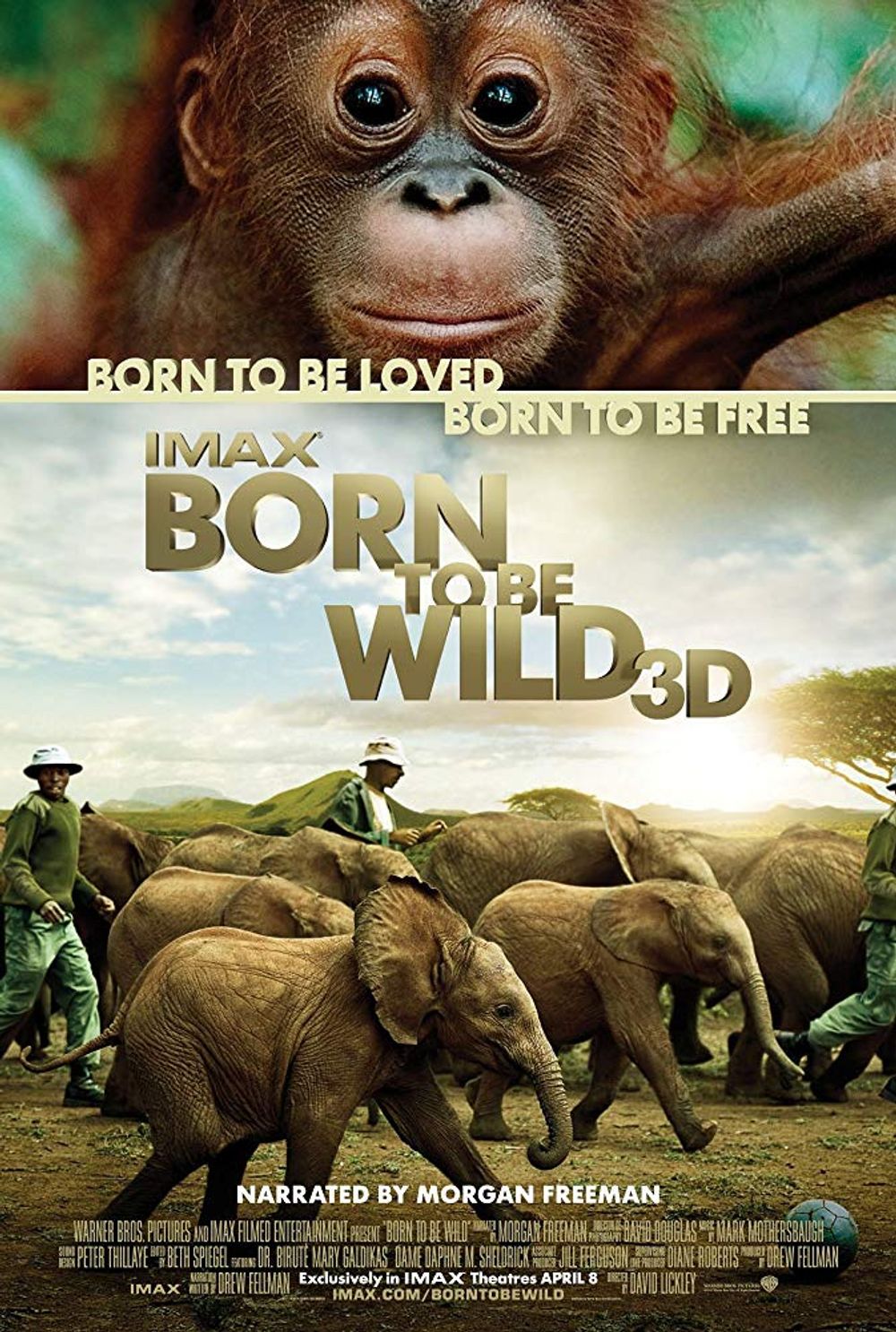 Born To Be Wild poster