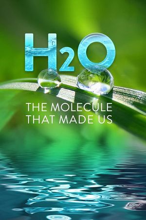 H20 The Molecule That Made poster