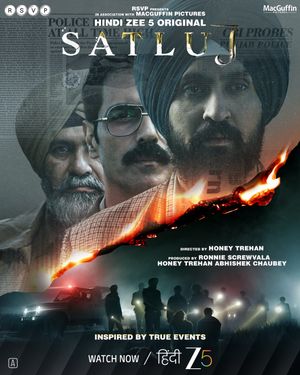 Punjab '95 (Satluj) poster