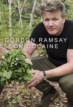 Gordon Ramsay poster