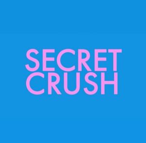 Secret Crush poster