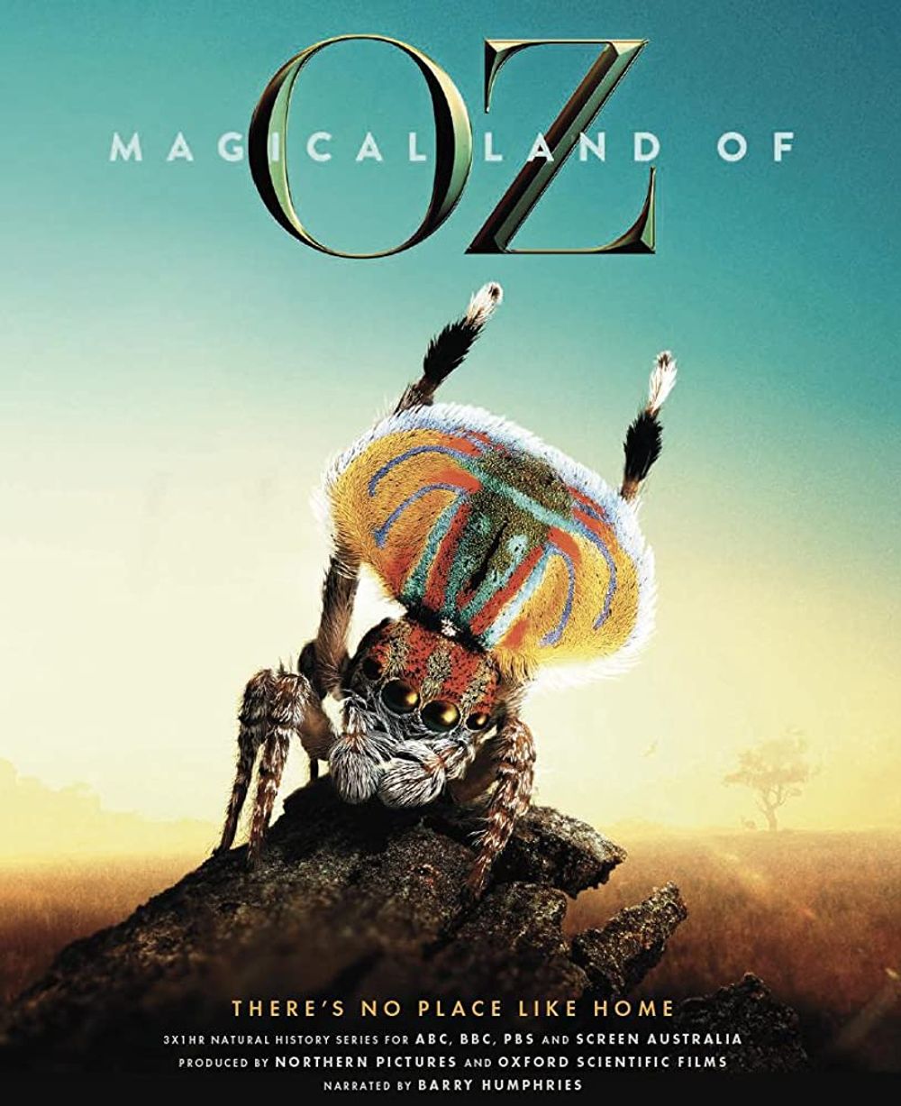 Magical Land of Oz poster