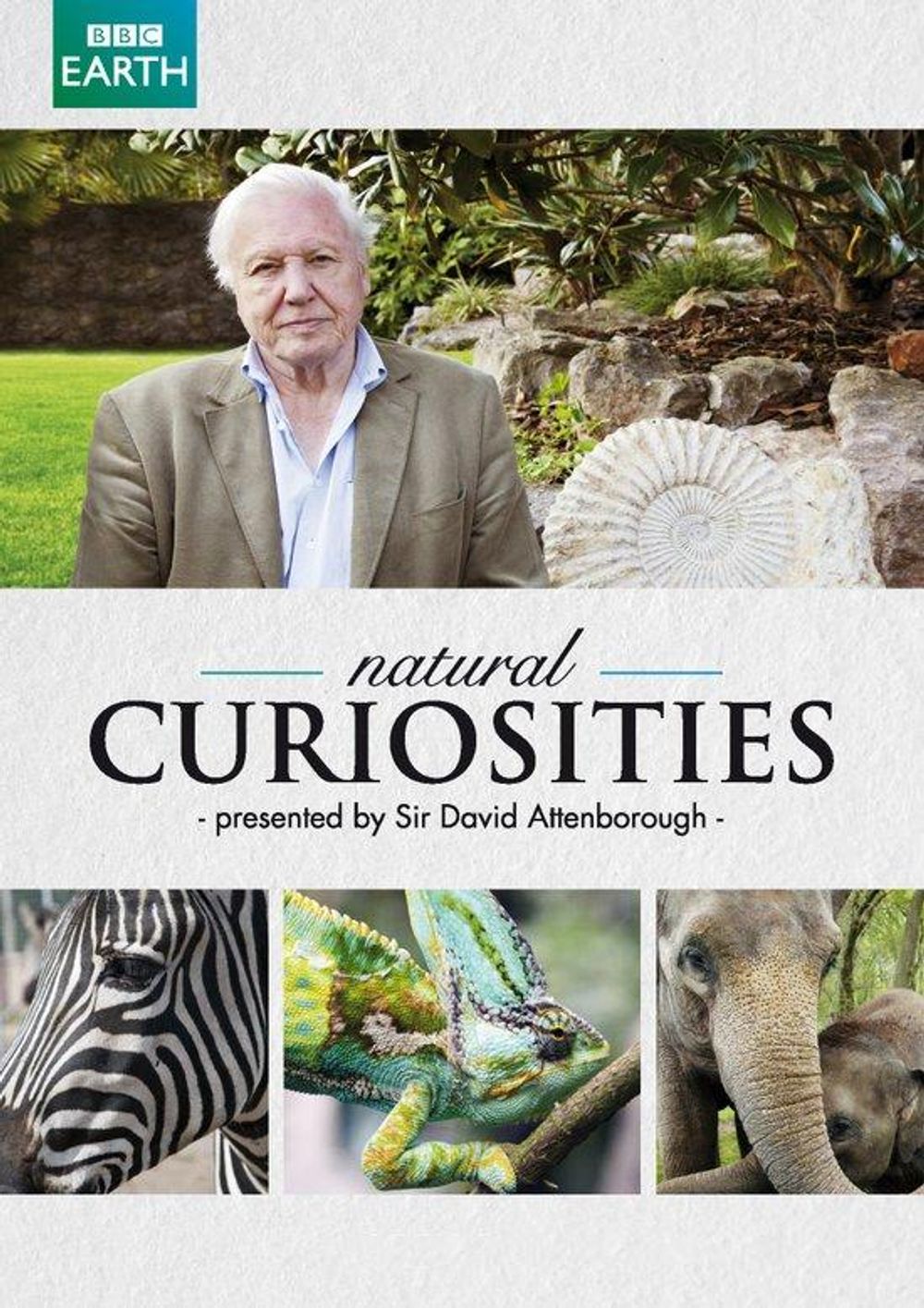 Natural Curiosities poster