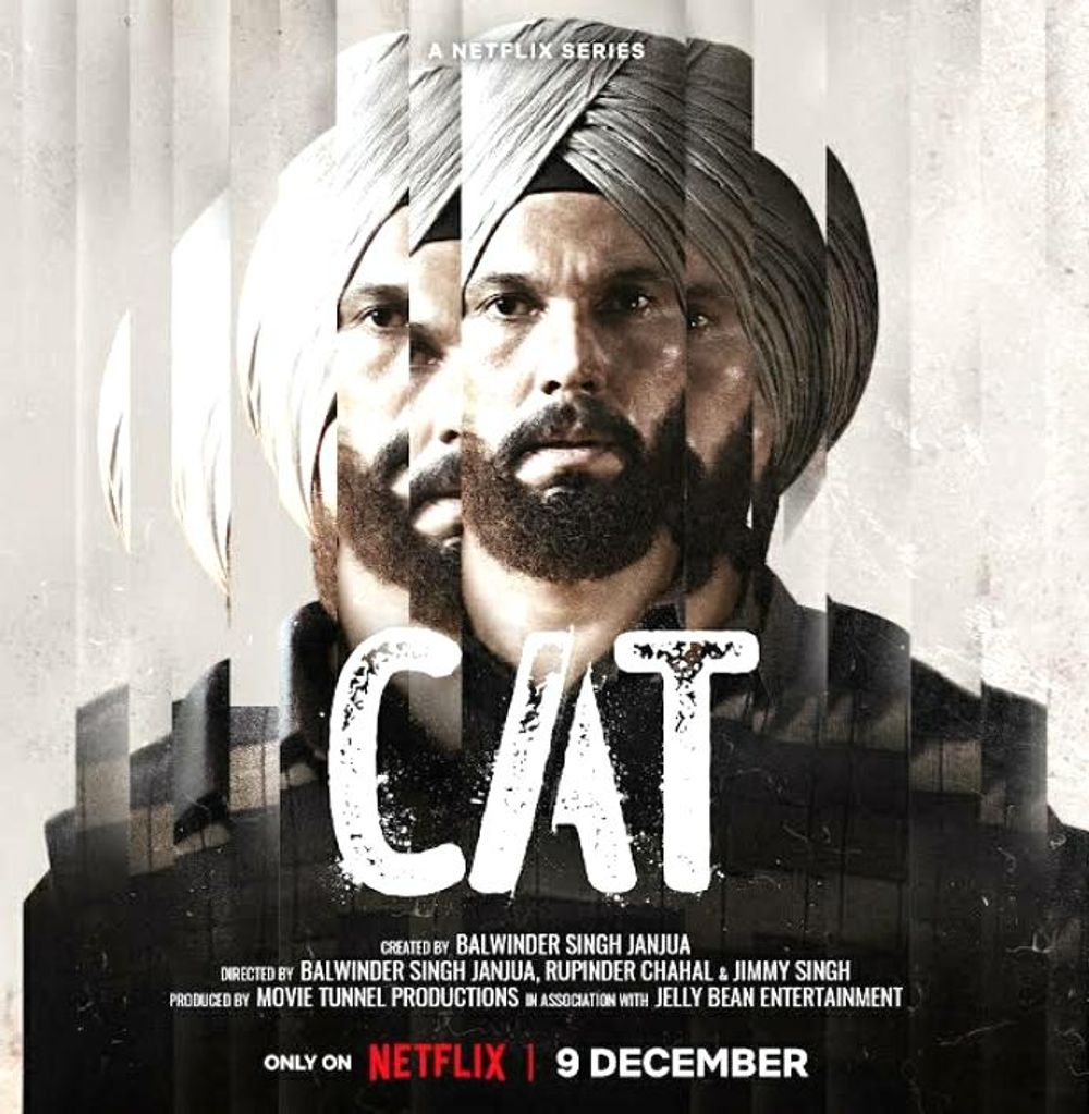 Cat poster