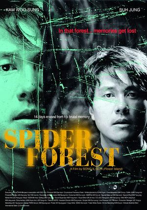 Spider Forest poster