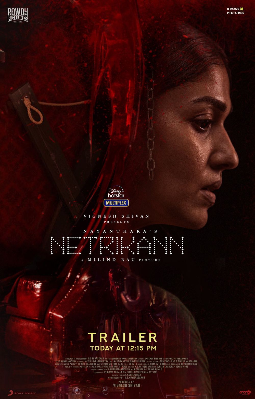 Netrikann poster
