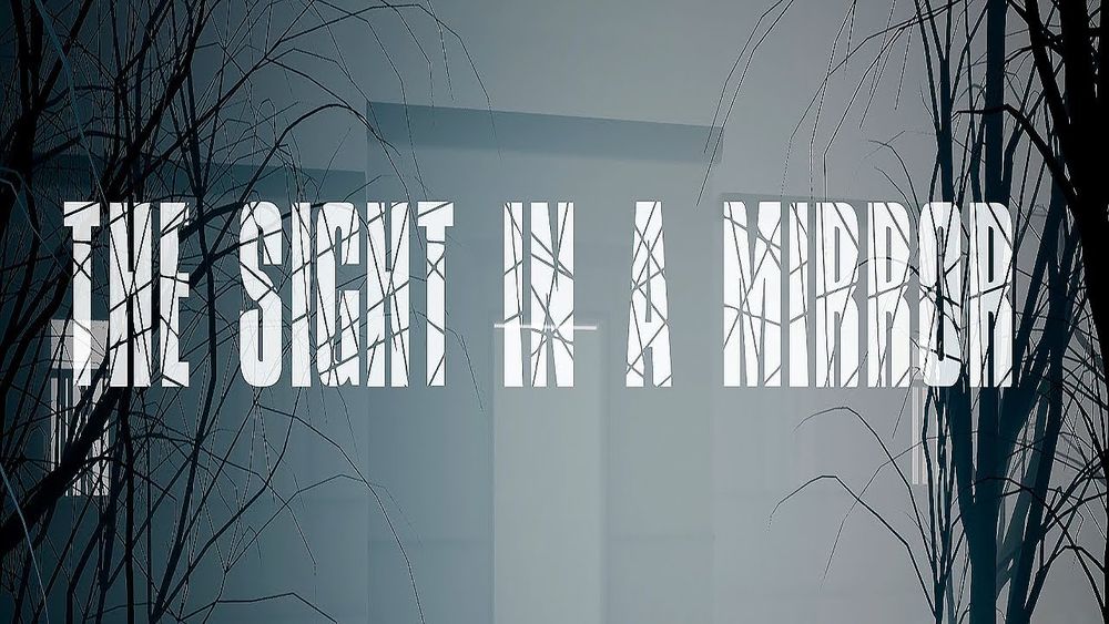 The Sight in a mirror-PLAZA poster
