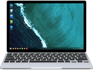 Phoenix OS Installer poster