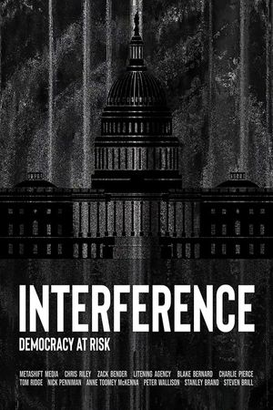 Interference Democracy at Risk poster