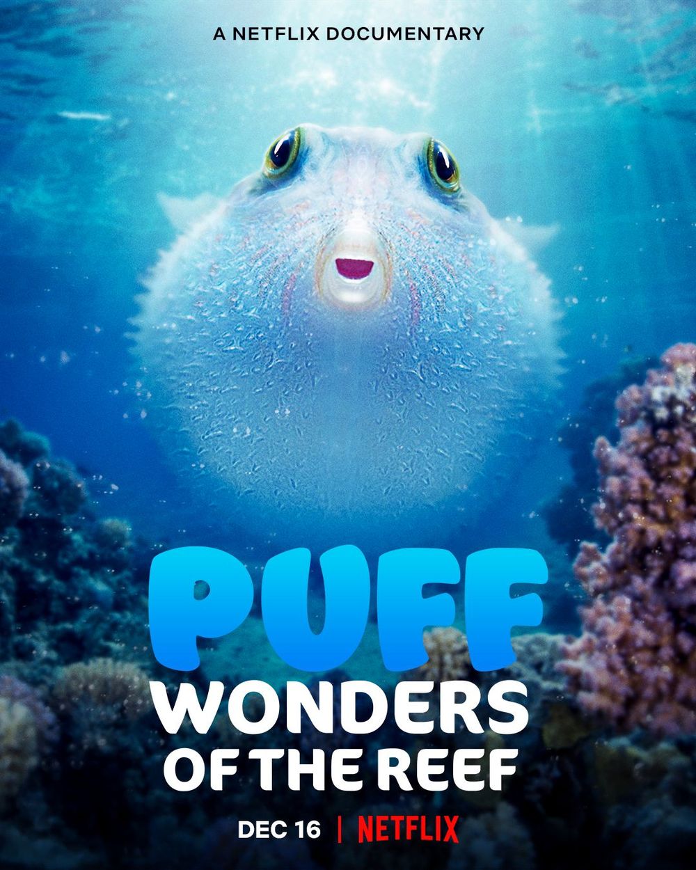Puff Wonders of the Reef poster