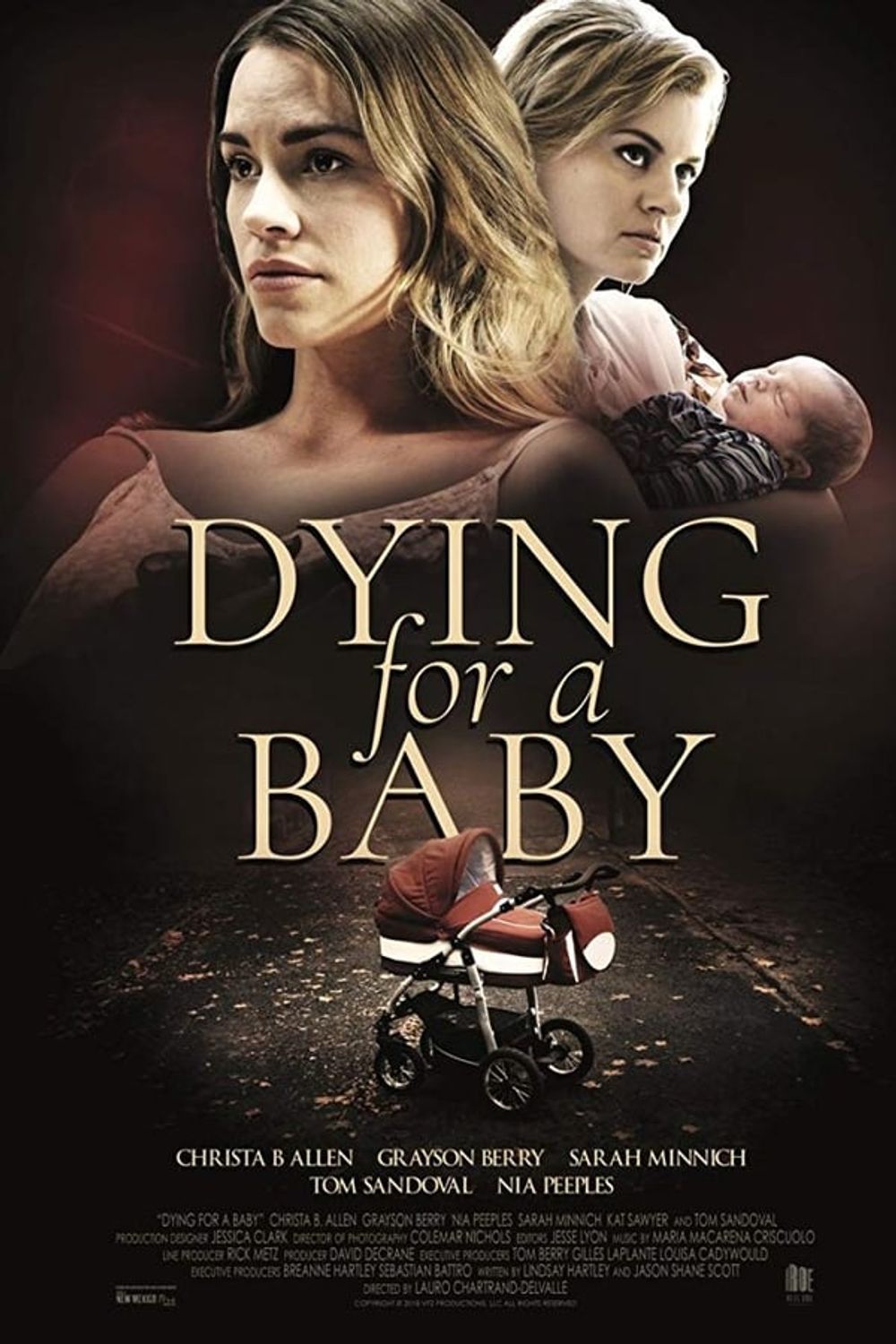 Dying For A Baby poster