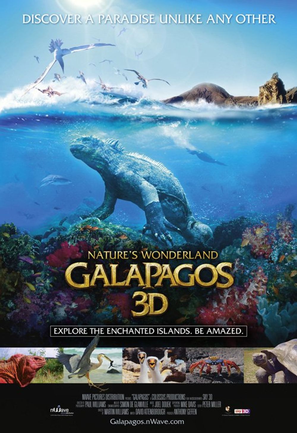 Galapagos poster