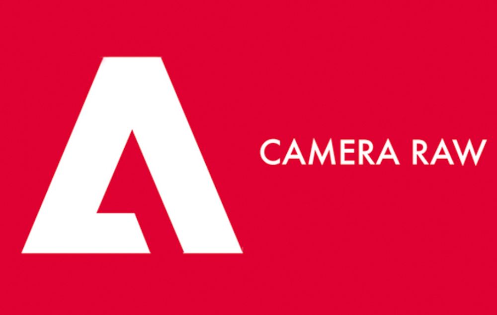 Camera Raw poster