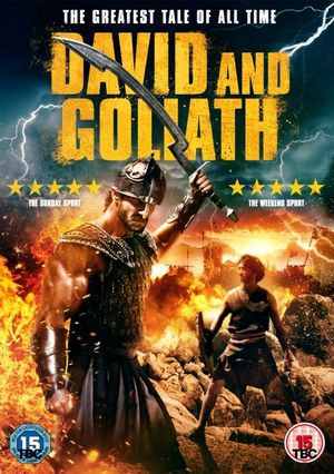 David vs Goliath poster