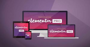Elementor Pro poster