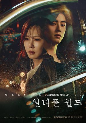 Wonderful World poster