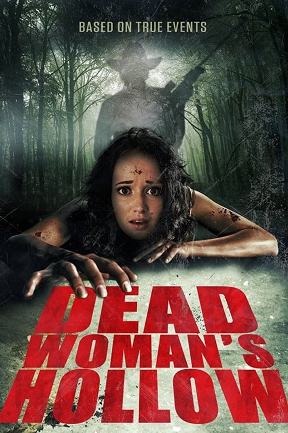 Dead Womans Hollow poster