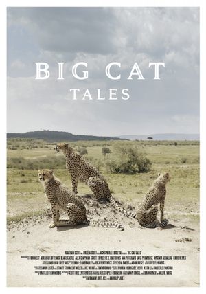 Big Cat Tales poster