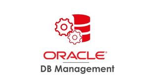 Oracle Database 19c WINDOWS X64 poster