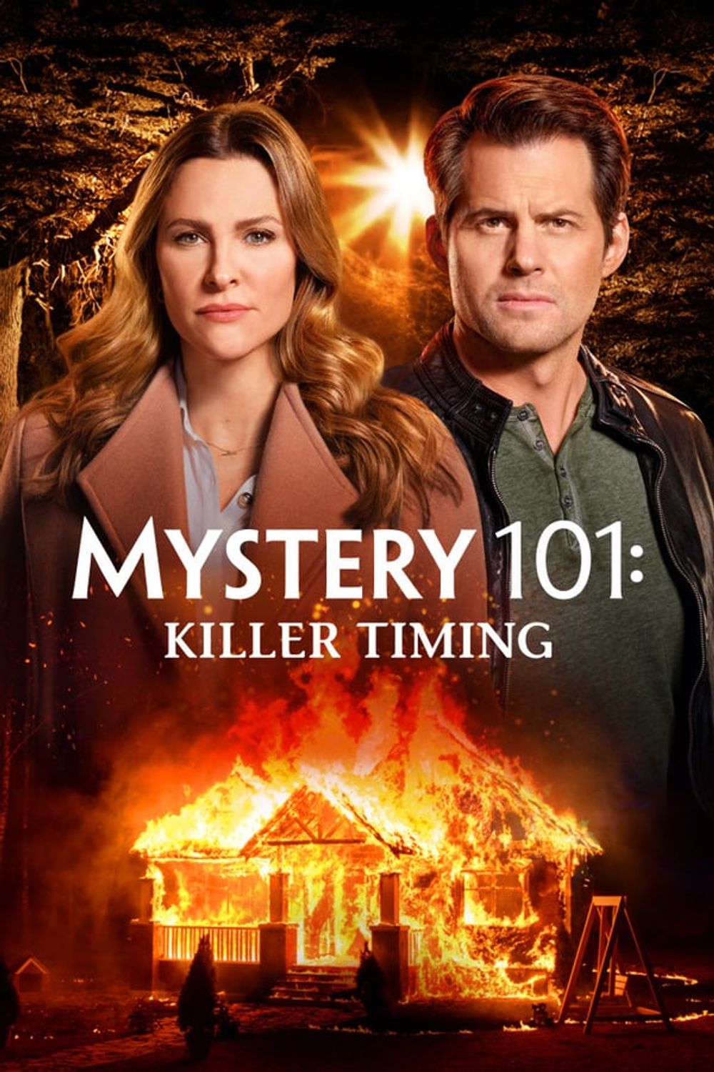 Mystery 101 Killer Timing poster
