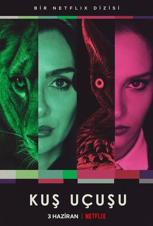 As the Crow Flies poster