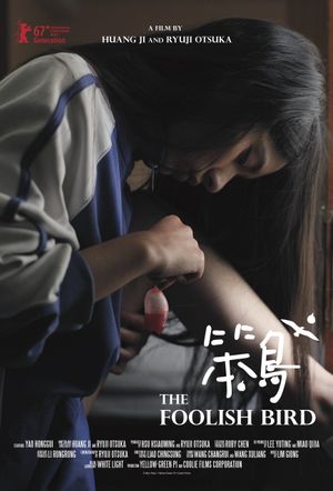 The Foolish Bird poster