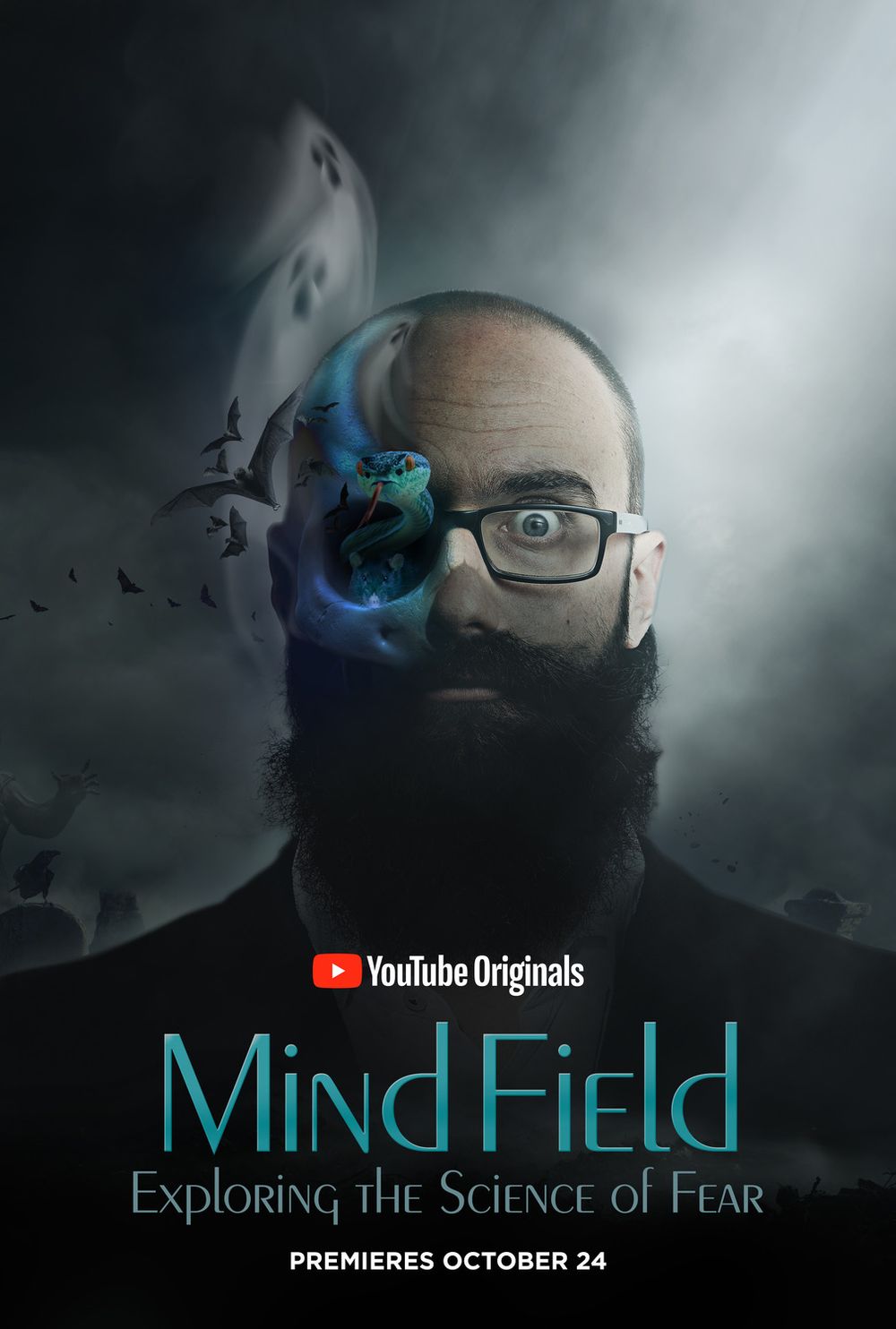 Mind Field poster