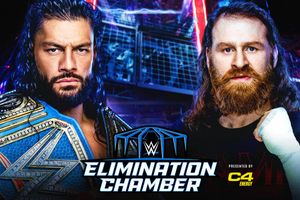WWE Elimination Chamber poster