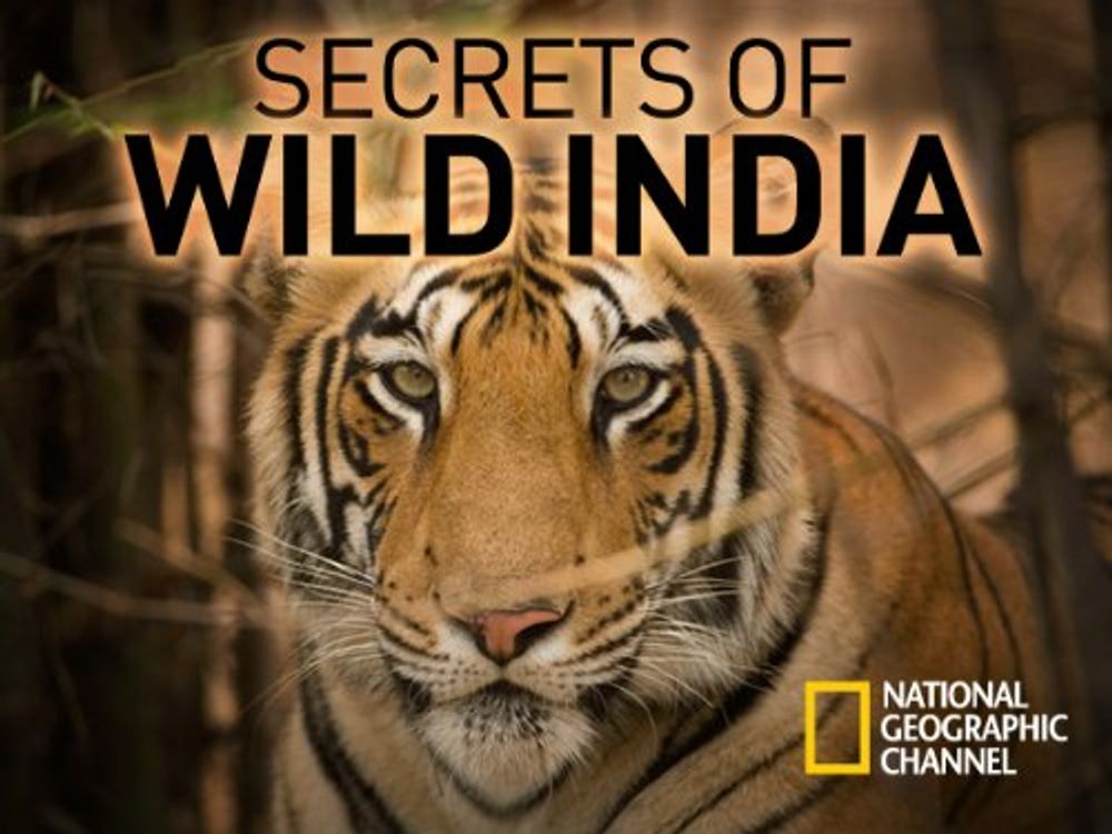 Secrets of Wild India poster