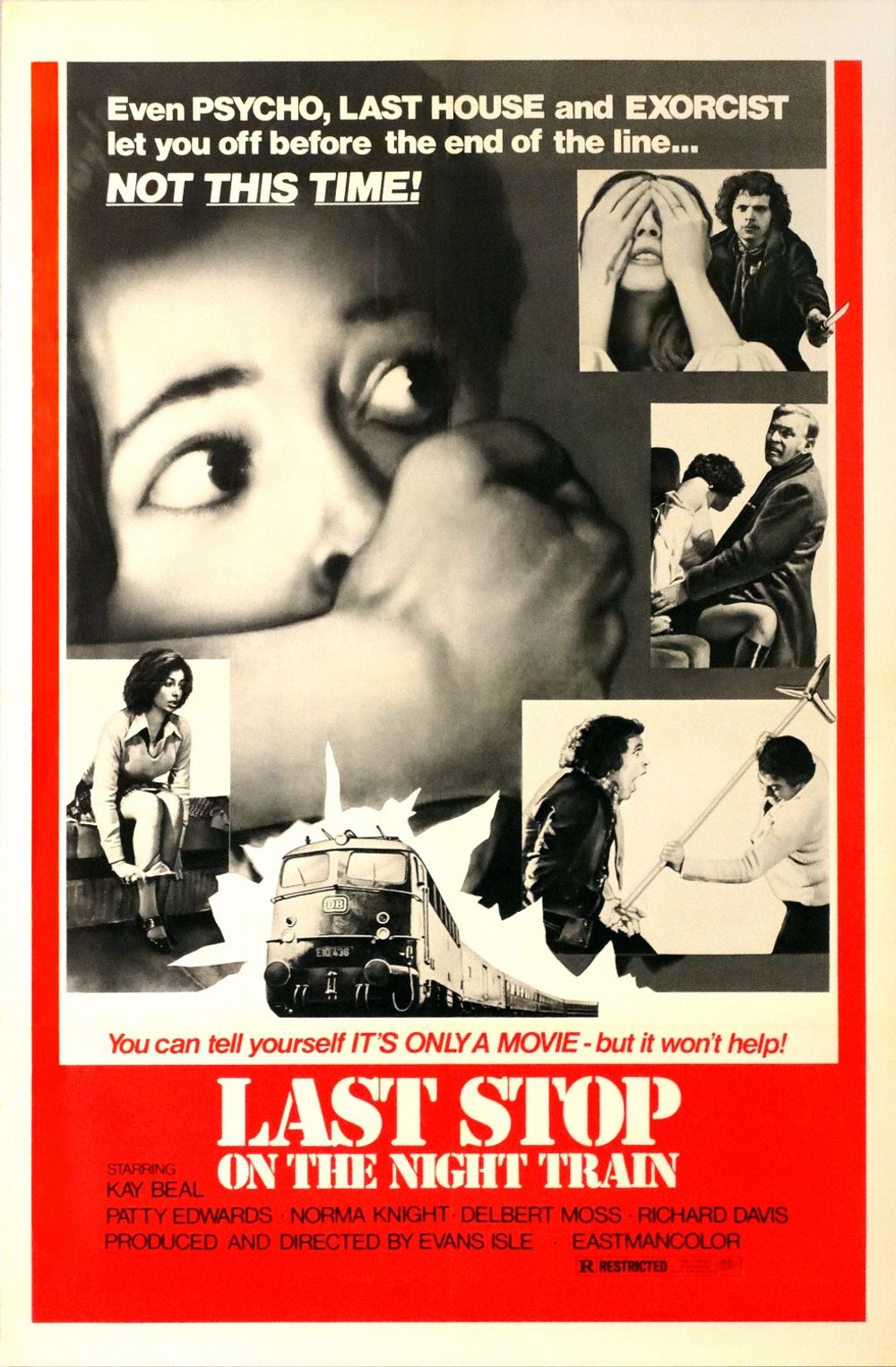 Last Stop On The Night Train poster