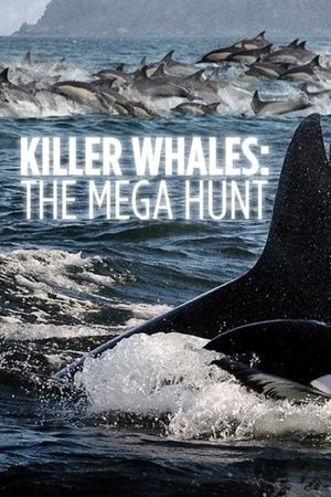 Killer Whales The Mega Hunt poster
