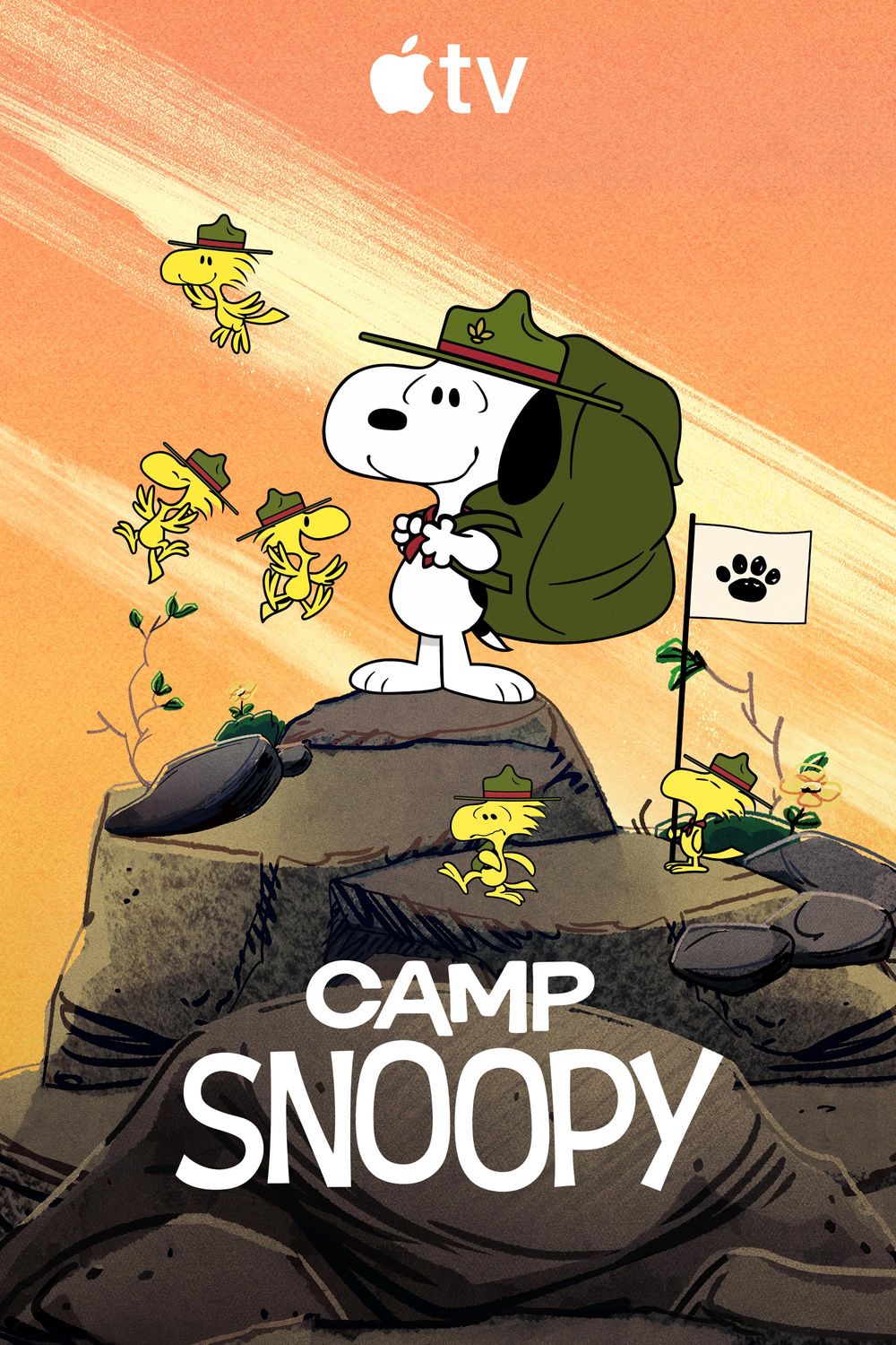 Camp Snoopy poster