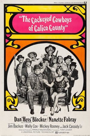 The Cockeyed Cowboys Of Calico County poster