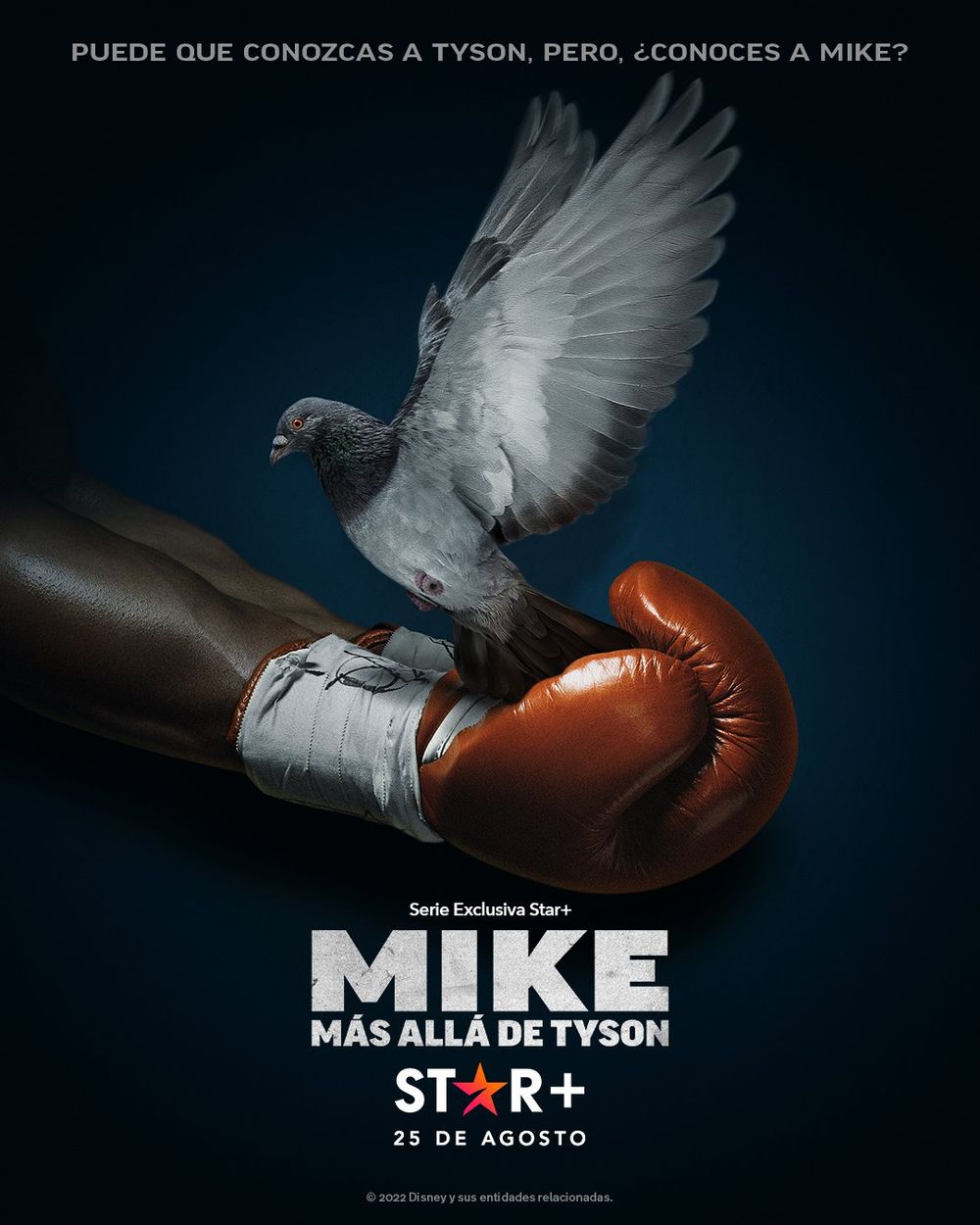 Mike poster