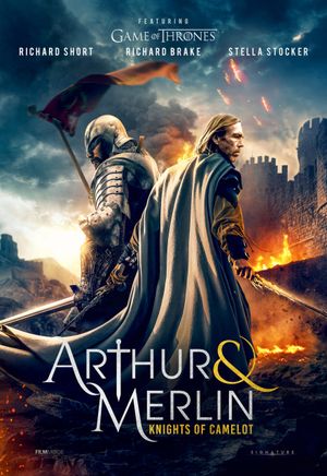 Arthur & 038; Merlin Knights of Camelot poster
