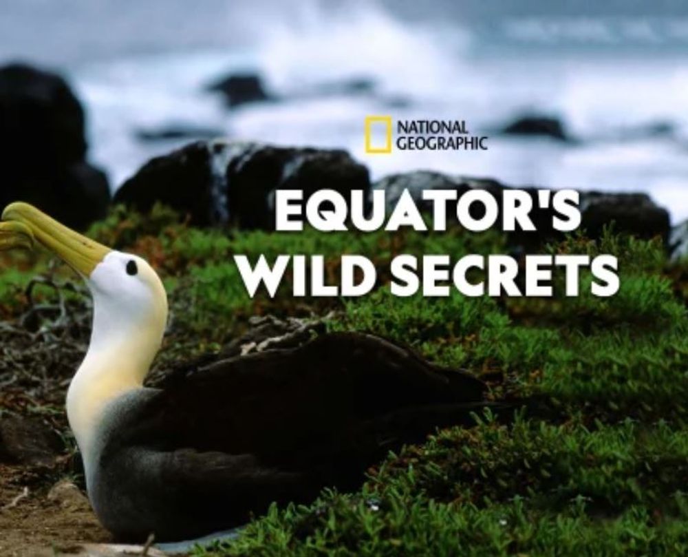 Equator's Wild Secrets poster