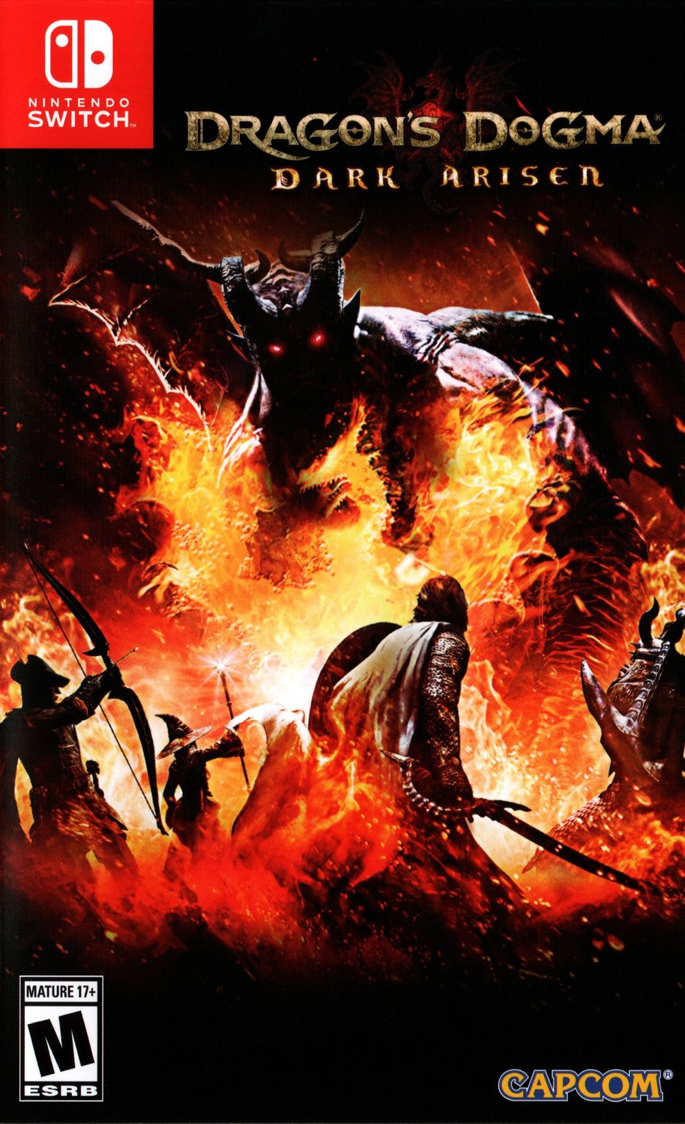 Dragon’s Dogma - Dark Arisen (NSP) poster